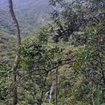 IMG_20200102_115331