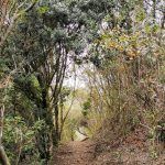 IMG_20200102_125843