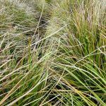 IMG_20200103_082830