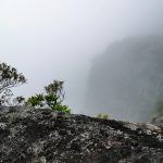 IMG_20200103_084348