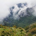 IMG_20200103_113656