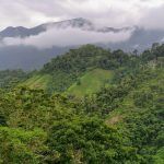 IMG_20200115_154024