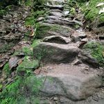 IMG_20200117_063833