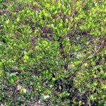 IMG_20200117_103632