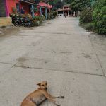 IMG_20200118_130816