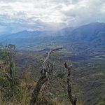 IMG_20200122_154110