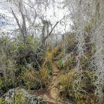 IMG_20200122_154506