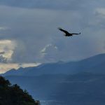 IMG_20200122_160125