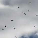 IMG_20200122_161438