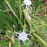 IMG_20200123_150951