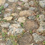 IMG_20200124_075936