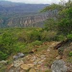 IMG_20200124_085128
