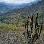 IMG_20200124_112232