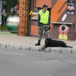 IMG_20200203_161225