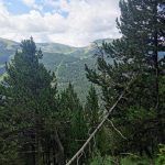 IMG_20200713_115202