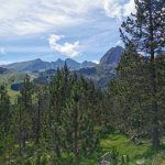 IMG_20200714_110114
