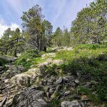 IMG_20200714_111722