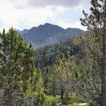 IMG_20200714_113326