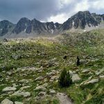 IMG_20200714_131523