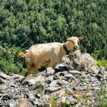 IMG_20200717_142056