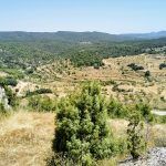 IMG_20200730_132804