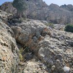 IMG_20200801_123434