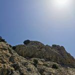 IMG_20200801_123551