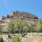 IMG_20200803_141954