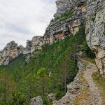 IMG_20200811_113315