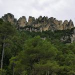 IMG_20200811_141531
