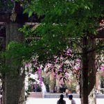 IMG_20220203_140707