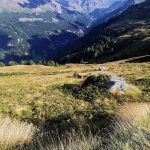IMG_20220812_173616