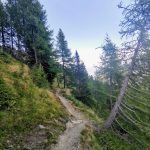 IMG_20220812_180559
