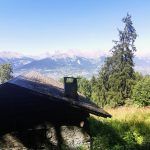IMG_20220813_152312