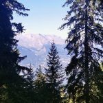 IMG_20220813_165607