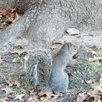 IMG_20221102_185225