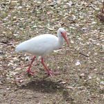 IMG_20221104_222538