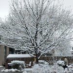 IMG_20221114_095609