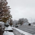 IMG_20221114_095737