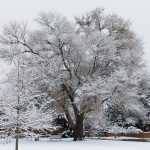 IMG_20221114_100620