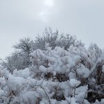IMG_20221114_102303