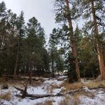 IMG_20221118_141724