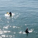 IMG_20221124_121439
