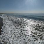 IMG_20221124_122134