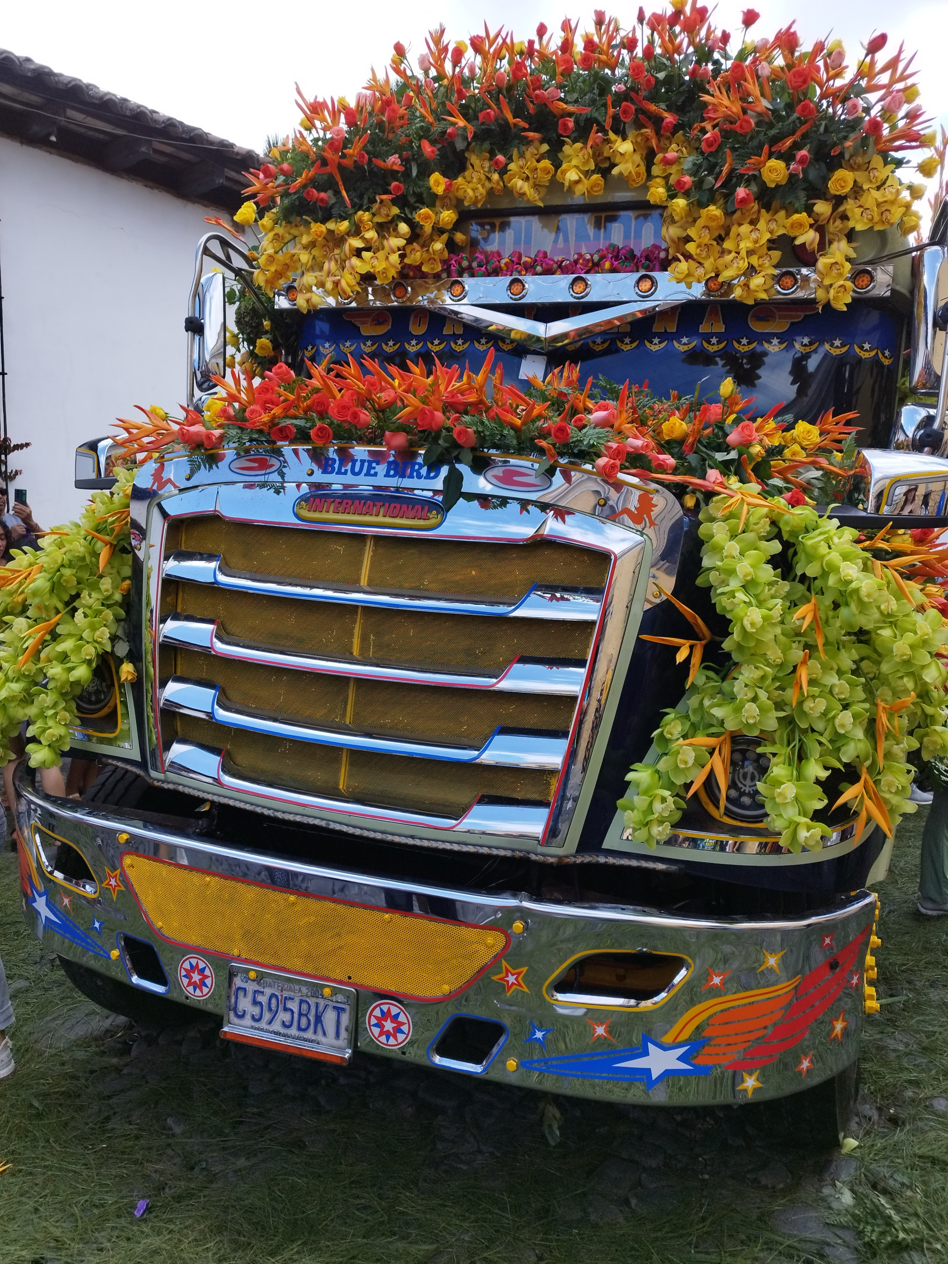 IMG_20231118_095950
