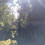 IMG_20190114_143239_861