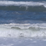 IMG_20190115_105444_632-2
