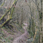 IMG_20190305_105039_313
