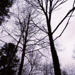 IMG_20190305_113902_927