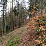 IMG_20190305_124006_144